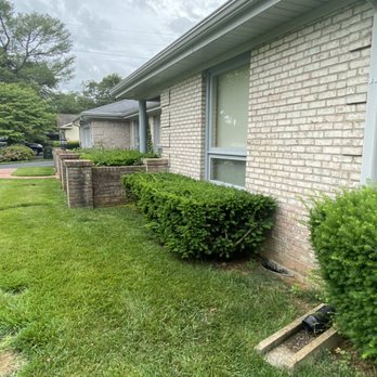 Timber Ninja Service - Working progress - Tree Services Near Me Timber Ninja Service - Working progress - Tree Services Near Me