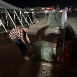 Valley View Christmas Trees - Pulling a 8' noble through the net!!!