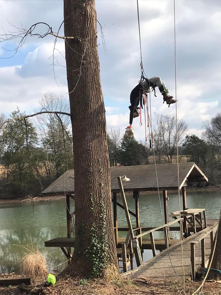 Blakely's Tree Service - tree service in Nashville, TN