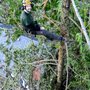 Photo of George Amos Tree Care