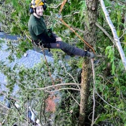 George Amos Tree Care