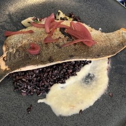 The Exchange - Trout