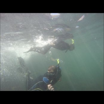 Snorkel & Scuba - Scuba Diving Near Me - La Jolla, California Snorkel & Scuba - Scuba Diving Near Me - La Jolla, California