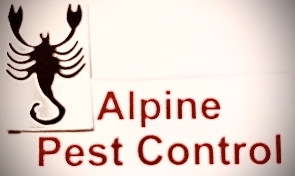 ALPINE PEST CONTROL Updated September 2024 707 N Harrison St