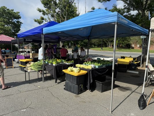 Marietta Square Farmers Market by null