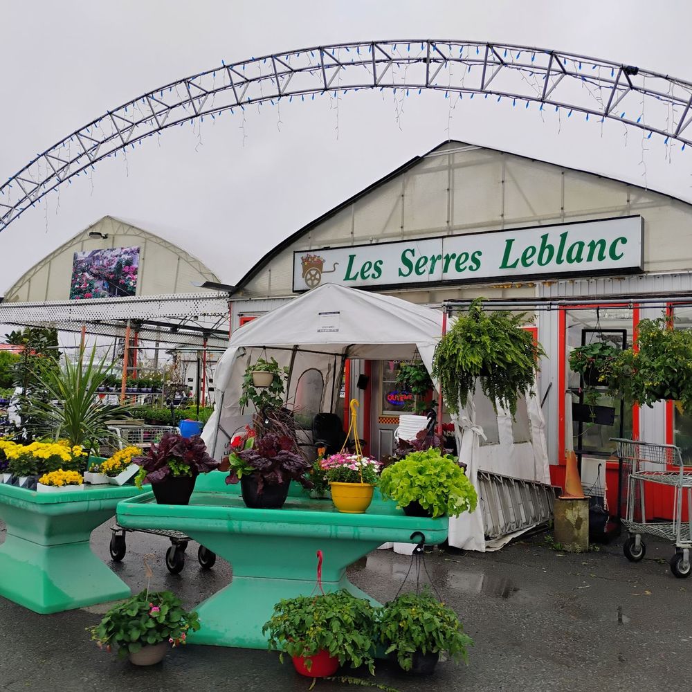 Les Serres Leblanc - Front of the greenhouse - Nurseries & Gardening Near Me - Laval, Quebec