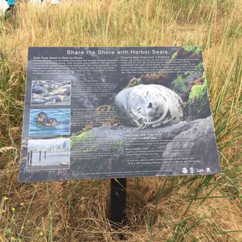Discovery Park - Parks Near Me - Seattle, Washington