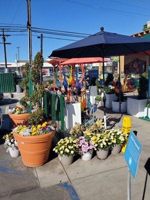 Armstrong Garden Centers 12920 Magnolia Blvd Sherman Oaks Ca General Merchandise Retail Mapquest Armstrong Garden Centers 12920 Magnolia, Armstrong Nursery Sherman Oaks