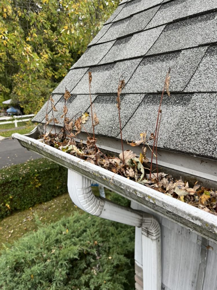 Sell's Gutter Services - veterans service organization in Elma, NY