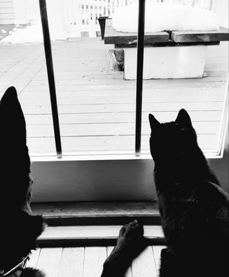 Inn On Columbia by null