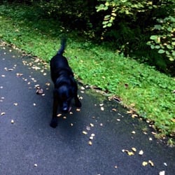 Dalmuir Park