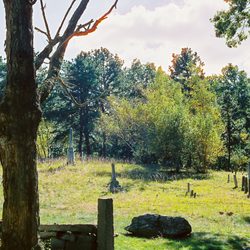 Elder Ballou Cemetery