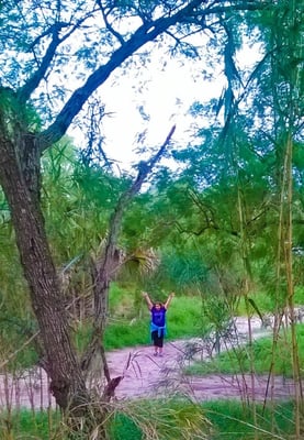 Sabal Palm Sanctuary by null