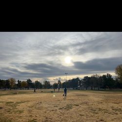 Davis Park