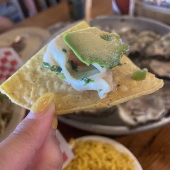 Half Shell Raw Bar - Conch Ceviche with avocado - Seafood Near Me - Key West, Florida Half Shell Raw Bar - Conch Ceviche with avocado - Seafood Near Me - Key West, Florida