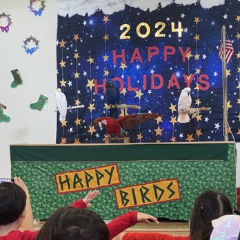 Happy Birds - Party & Event Planning Near Me