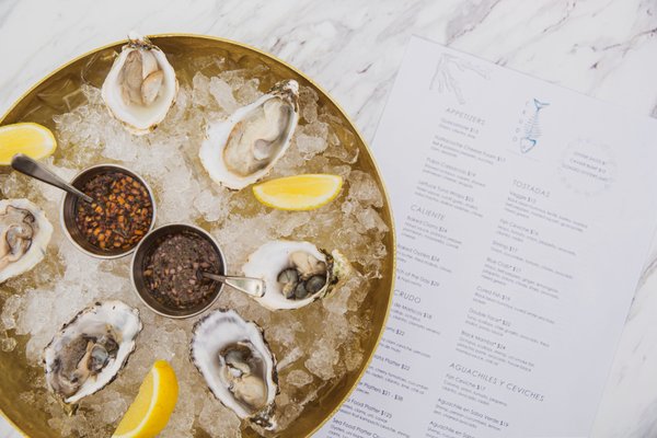 Crudo Ceviche & Oyster Bar by null