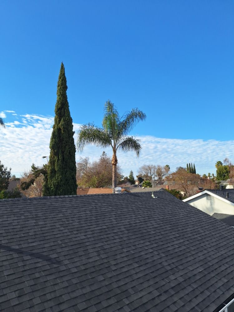 Slide of Francisco's Handyman