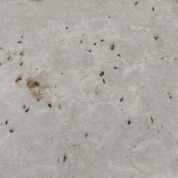 A All Storage - Look! Non existent mouse poopy! - Self Storage Near Me - Glens Falls, New York