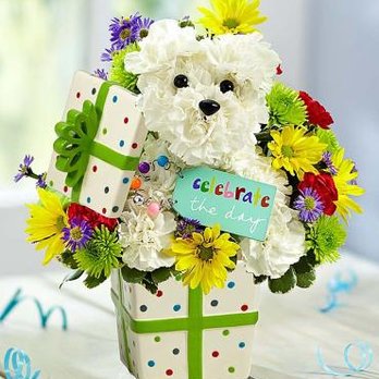 Vanessa's Flowers - Florists Near Me - Brooklyn, New York Vanessa's Flowers - Florists Near Me - Brooklyn, New York