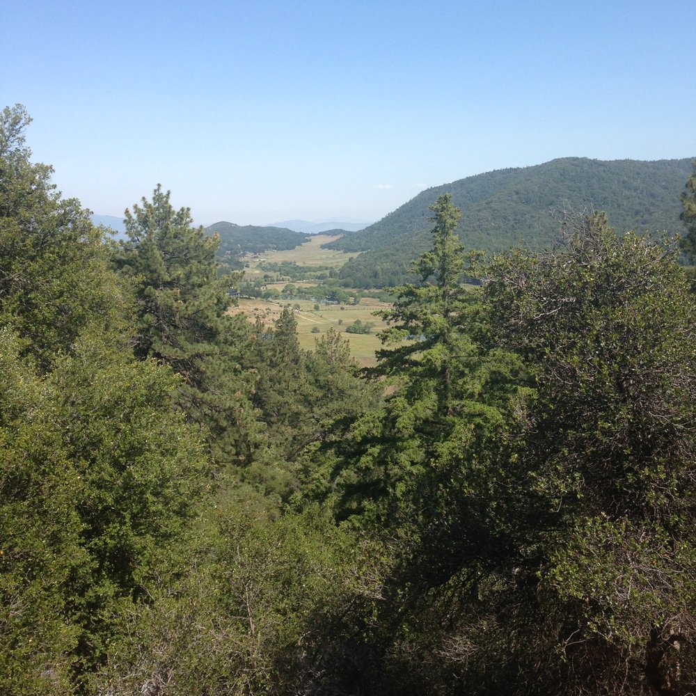Lower valley from near the look-out deck.