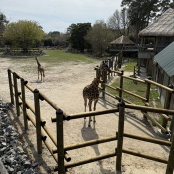 Virginia Zoo - Zoos Near Me - Norfolk, Virginia Virginia Zoo - Zoos Near Me - Norfolk, Virginia