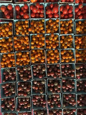 City Park Farmers Market by null