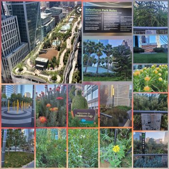 Salesforce Park - Salesforce Park in the rooftop - at a glance - Parks Near Me - San Francisco, California