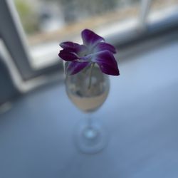 208 Wine Bar - Mimosa