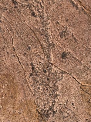 Jeffers Petroglyphs by null