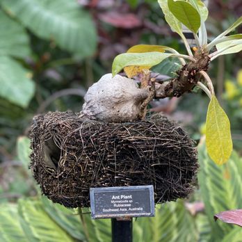 Garfield Park Conservatory - Parks Near Me - Chicago, Illinois