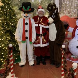 N E W Santa Claus
