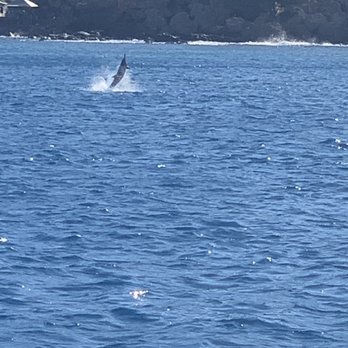Ocean Joy Cruises - Tours Near Me - Kapolei, Hawaii Ocean Joy Cruises - Tours Near Me - Kapolei, Hawaii
