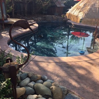 U Build It Swimming Pools - a pool with a thatched umbrella - General Contractors Near Me U Build It Swimming Pools - a pool with a thatched umbrella - General Contractors Near Me