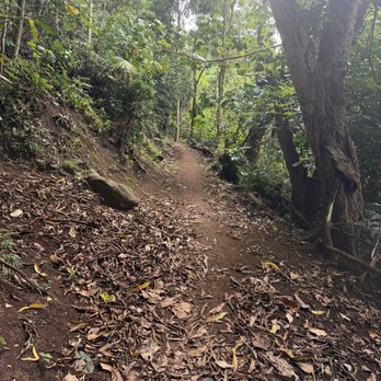 Outfitters Kauai - Hike through jungle - Tours Near Me - Lihue, Hawaii Outfitters Kauai - Hike through jungle - Tours Near Me - Lihue, Hawaii
