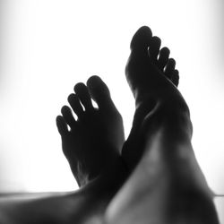 Absolute Tranquility of the Body & Mind - Reflexology Massage: $35/30 Min, $65/60 Min