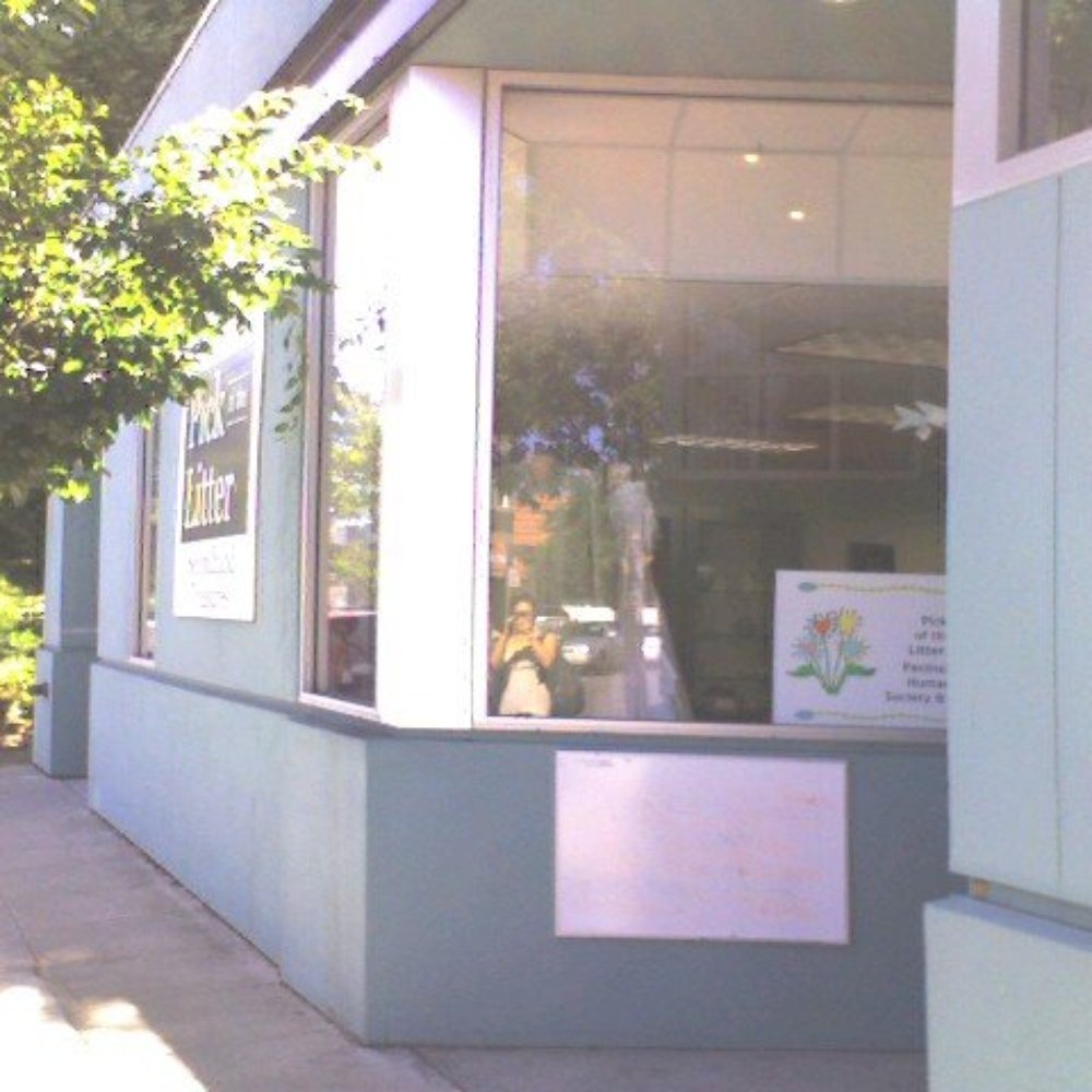 Treasure Paws - Entrance - Thrift Stores Near Me - Burlingame, California Treasure Paws - Entrance - Thrift Stores Near Me - Burlingame, California
