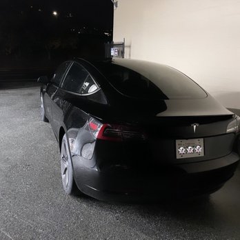 Lion Window Tinting - 20% rear - Car Window Tinting Near Me - San Mateo, California Lion Window Tinting - 20% rear - Car Window Tinting Near Me - San Mateo, California