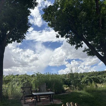 Carlson Vineyards - Wineries Near Me - Palisade, Colorado