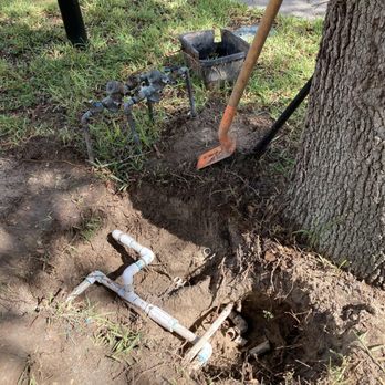 Bayko Irrigation - a tree with a hole in the ground - Irrigation Near Me - Bradenton, Florida