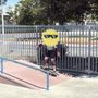 Photo of Skate Coastal