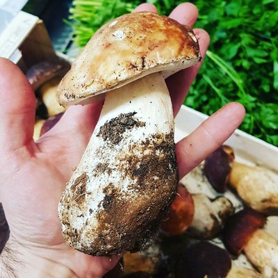 Restaurante Origens by null