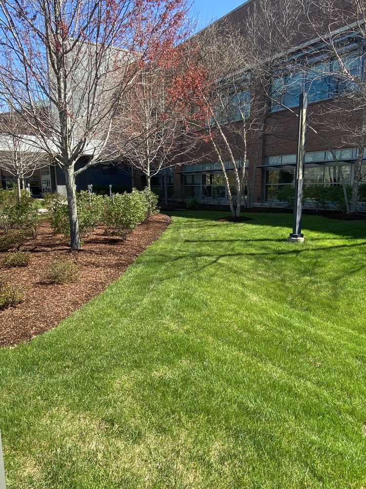 AQUINO LANDSCAPING Updated August 2024 Request a Quote 17 Photos