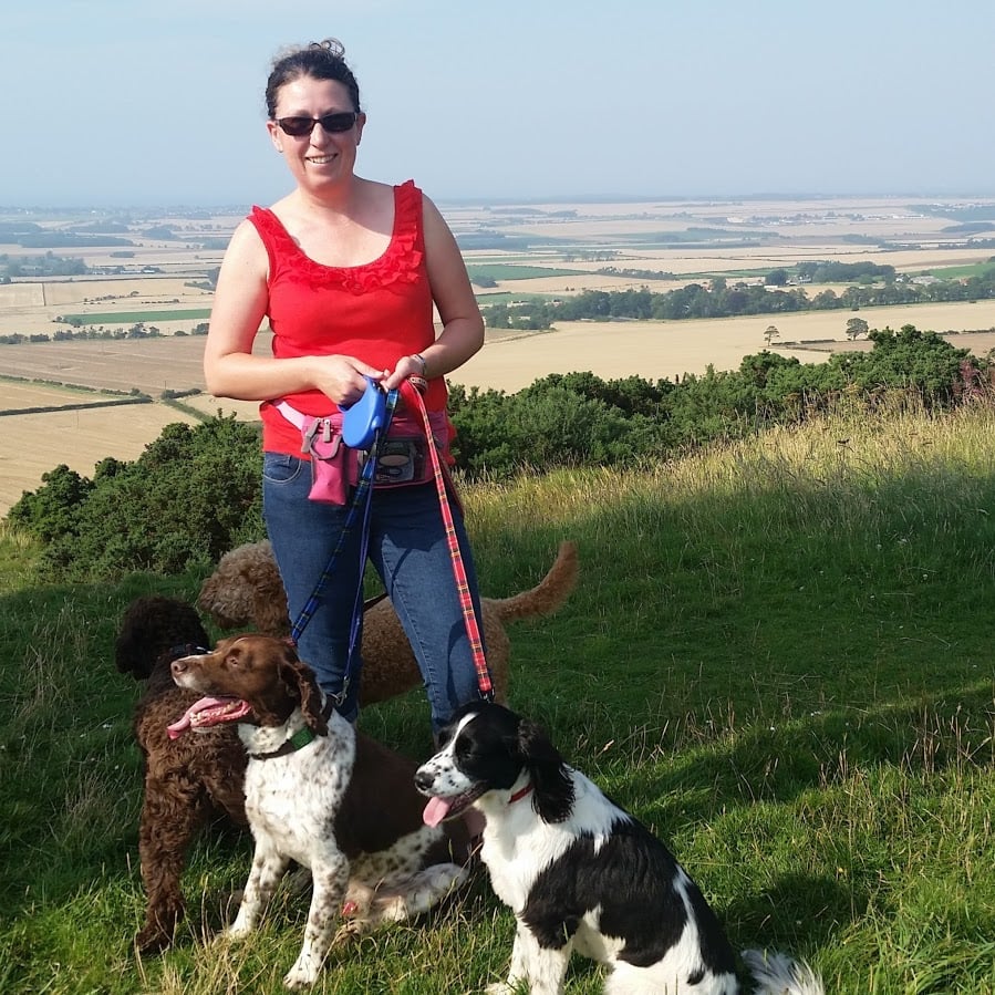 THE DOGGY MINDER Updated June 2024 61 South Seton Park, Port Seton