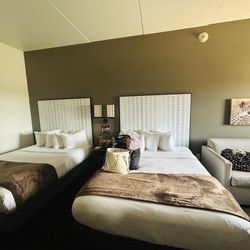 2 queen beds, pull out sofa bed