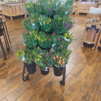 The Fresh Market - Flower Display - Grocery Near Me - Plantation, Florida The Fresh Market - Flower Display - Grocery Near Me - Plantation, Florida