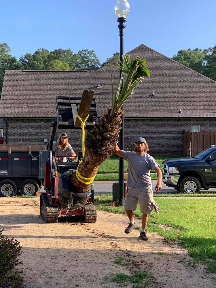 BLUE SKY LANDSCAPING 29 Photos Lawn Services 7920 North Palafox