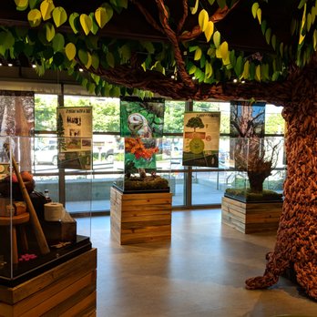 PoCo Heritage Museum and Archives - Join us in exploring the Carol Hubbard Memorial Natural History Exhibit: The Secret Life of Trees. On display Aug 2018 - Aug 2019. - Museums Near Me - Port Coquitlam, British Columbia PoCo Heritage Museum and Archives - Join us in exploring the Carol Hubbard Memorial Natural History Exhibit: The Secret Life of Trees. On display Aug 2018 - Aug 2019. - Museums Near Me - Port Coquitlam, British Columbia