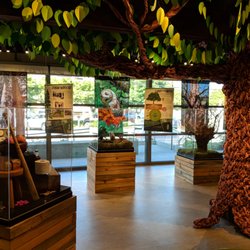 PoCo Heritage Museum and Archives - Join us in exploring the Carol Hubbard Memorial Natural History Exhibit: The Secret Life of Trees. On display Aug 2018 - Aug 2019.