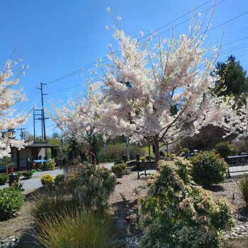 Tsuru Island - Parks Near Me - Gresham, Oregon